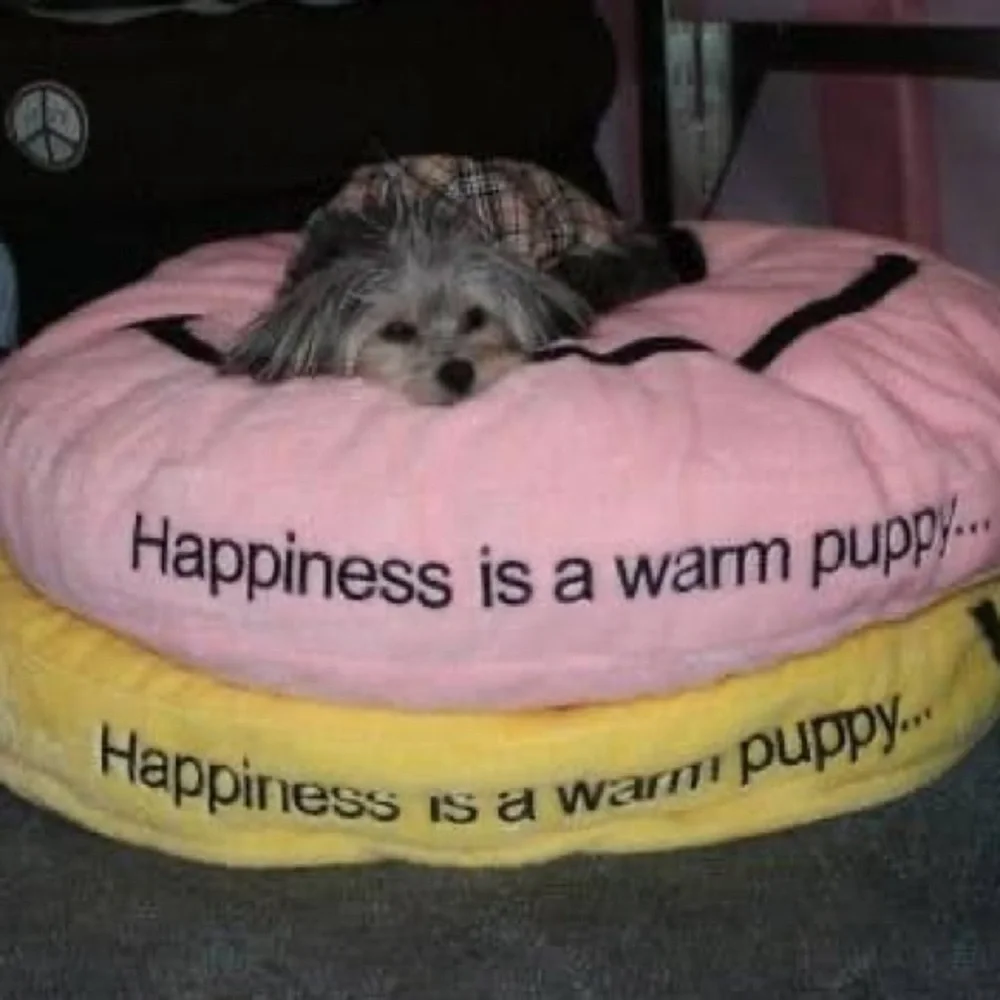 Dog Bed Cover Smiley Yellow